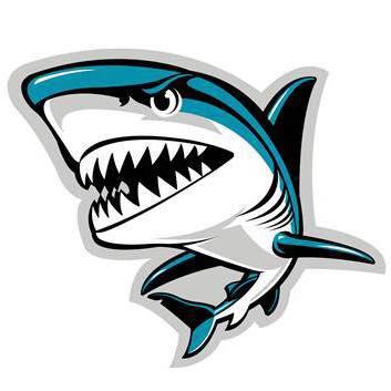 New York Sharks