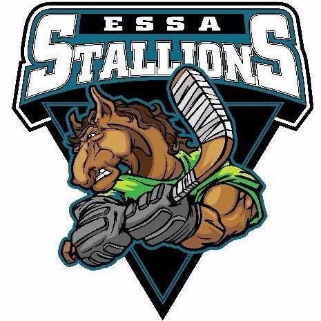 Essa Stallions