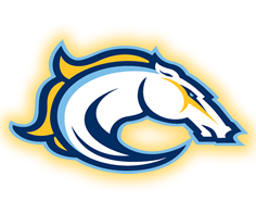 Calgary Mustangs