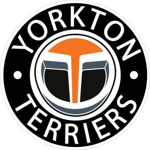 Yorkton Terriers