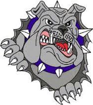 Washington Bulldogs