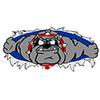 Nampa Bulldogs