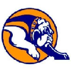 Mahomet-Seymour Bulldogs