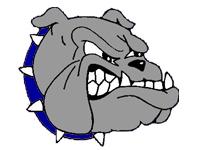 Galena Bulldogs