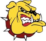 Stow-Munroe Falls Bulldogs