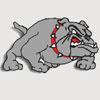 Boscobel Bulldogs