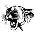 Edisto Cougars