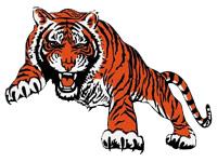 Stockton Tigers