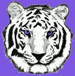 Montgomery Tigers