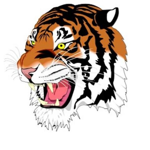 Princeton Tigers