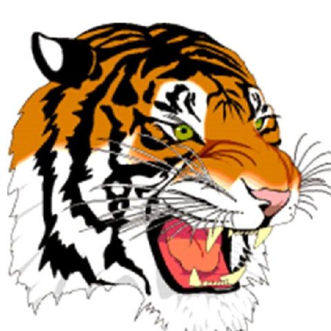 Seymour Tigers