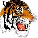 Douglas Tigers