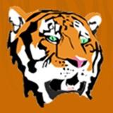 Ansonia Tigers