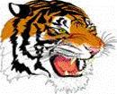 Saluda Tigers