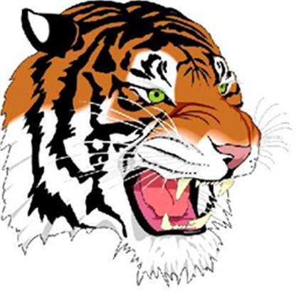 Huron Tigers