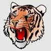 Gillett Tigers