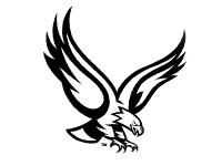 Kingman Eagles