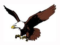 Olpe Eagles