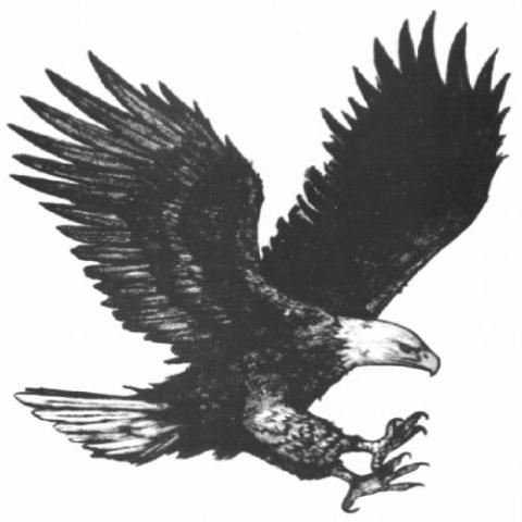 Eugene Eagles