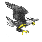 McKenzie Eagles