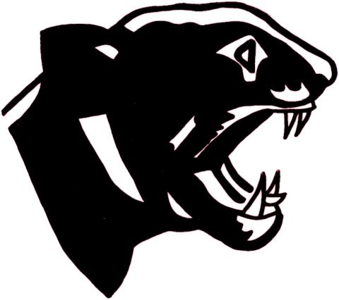 South Iron Panthers