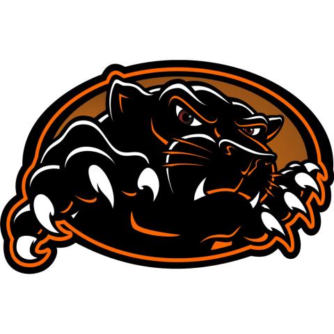 Palmyra Panthers