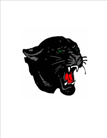 Mehlville Panthers