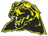 Whitmer Panthers