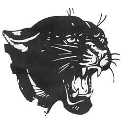 Prairie Farm Panthers