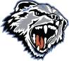 Skyview Wolverines