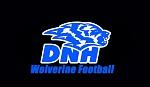 Dike-New Hartford Wolverines