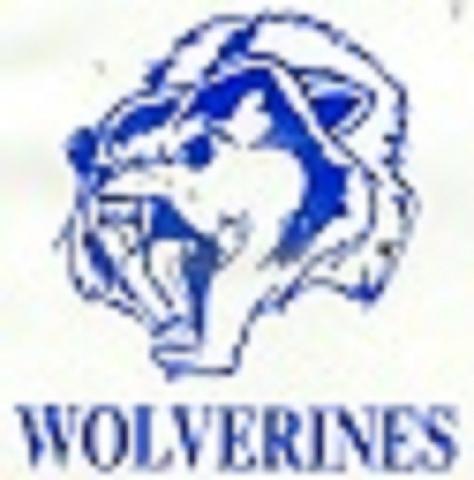 Vashon Wolverines