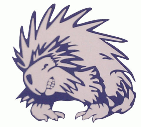 Nashua Porcupines