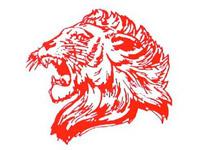 Lansing Lions