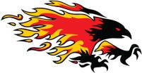 Chaparral Firebirds