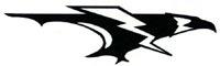 Edsel Ford Thunderbirds