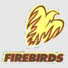 Wisconsin School for the Deaf Firebirds