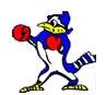 St. Edmund Blue Jays