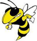 Ithaca Yellowjackets