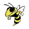 Perham Yellowjackets