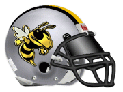 Stevensville Yellowjackets