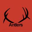 Elkhorn Antlers