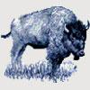 Mondovi Buffaloes