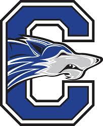 Chandler Wolves