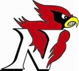 Newton Cardinals