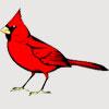 Chippewa Falls Cardinals