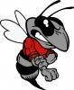 Hancock County Hornets