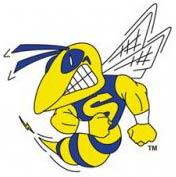 Saline Hornets