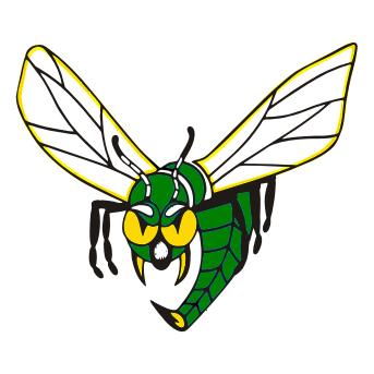 Edina Hornets