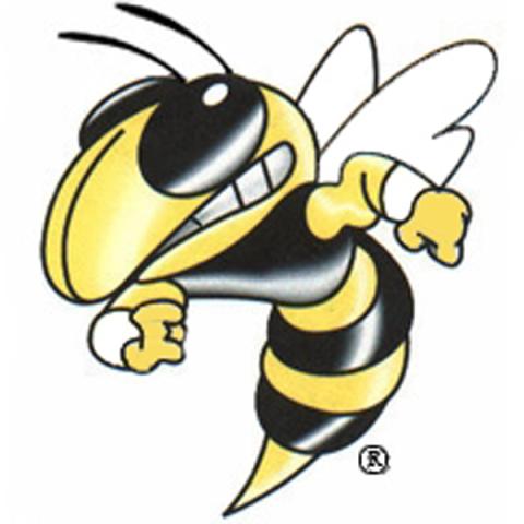 Fulton Hornets